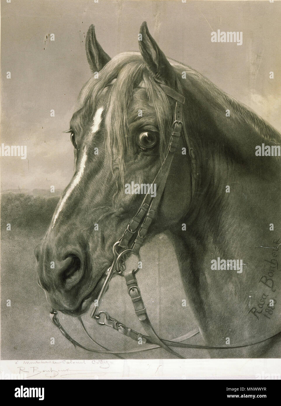 Colonel Cody High Resolution Stock Photography And Images Alamy