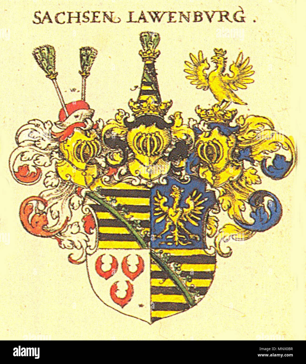 . Deutsch: Wappen des Herzogtums Sachsen-Lauenburg zwischen ca. 1507 bis 1671. English: The coat of arms of Duchy of Saxony, Angria and Westphalia (Lauenburg) as used between 1507 and 1671. It shows in the upper left quarter the Ascanian barry of ten, in or and sable, covered by a crancelin of rhombs (they are not shown in this undetailed copy) bendwise in vert.[1] The crancelin symbolises the Saxon ducal crown. The second quarter shows in azure an eagle crowned in or, representing the imperial Pfalzgraviate of Saxony. The third quarter displays in argent three water-lily leaves in gules, stan Stock Photo