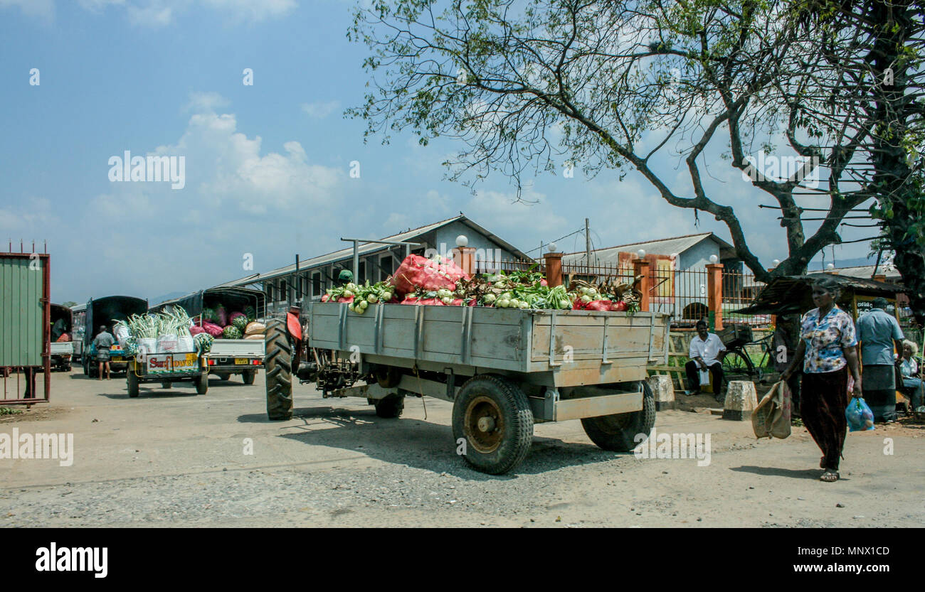 Fruit and vegetable delivery by tractor to the local market in Sri