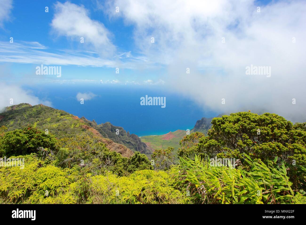 Views Of The Na Pali Coast And The Kalalau Valley From Kokee State Park On The Island Of Kauai Hawaii Stock Photo Alamy