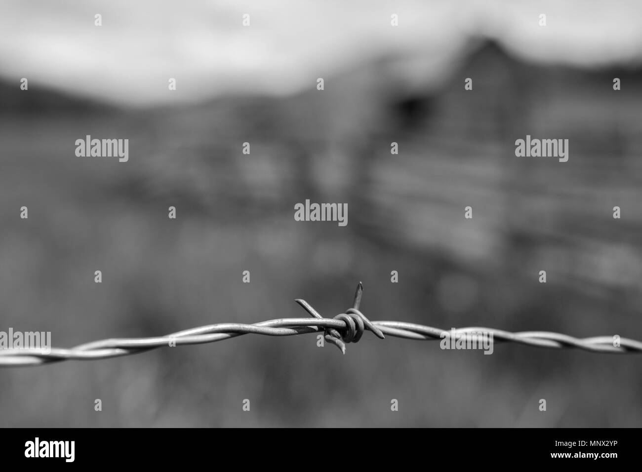 Old fence post barbed wire Black and White Stock Photos & Images - Alamy