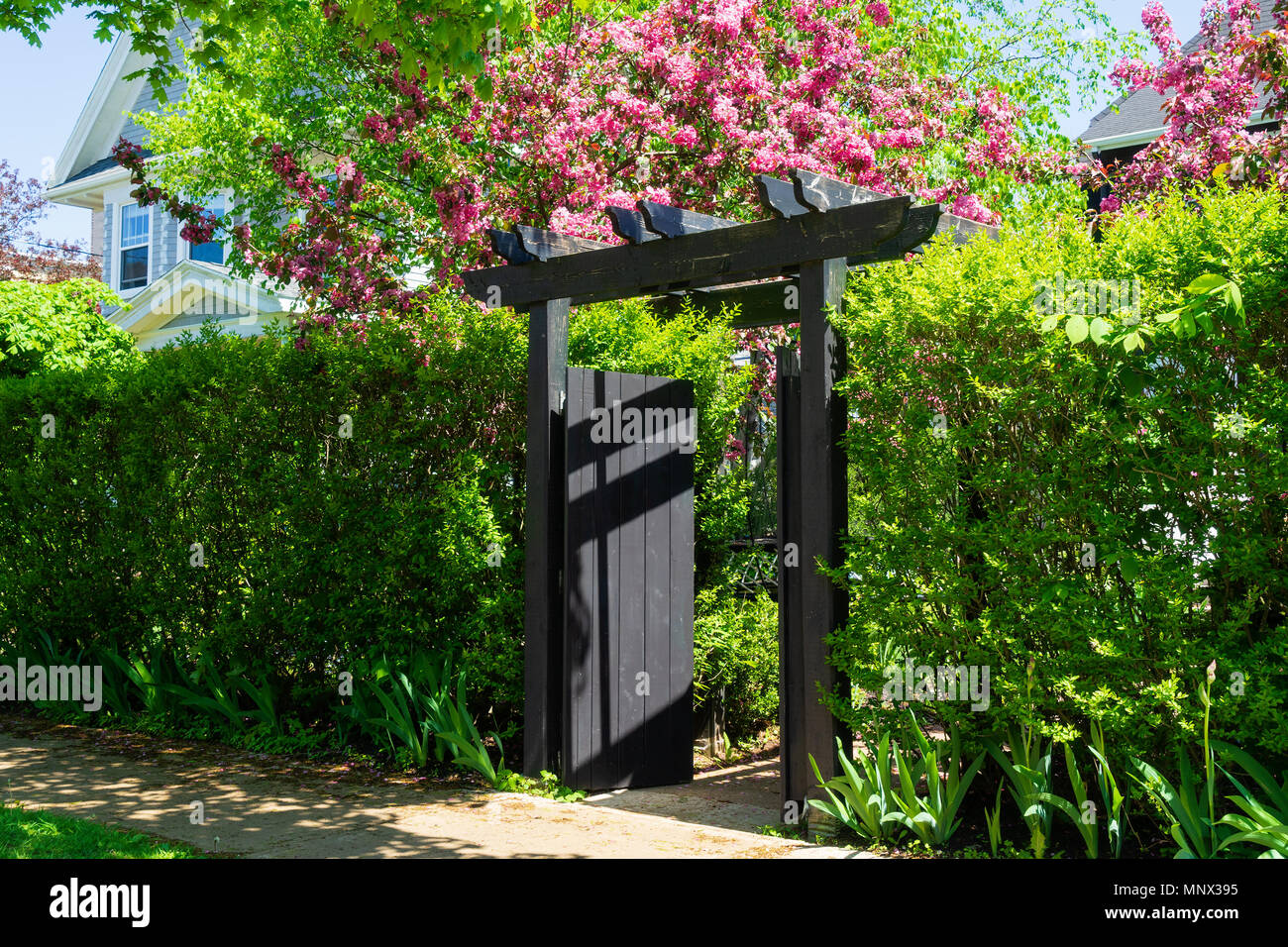 Japanese inspired garden gate. Stock Photo