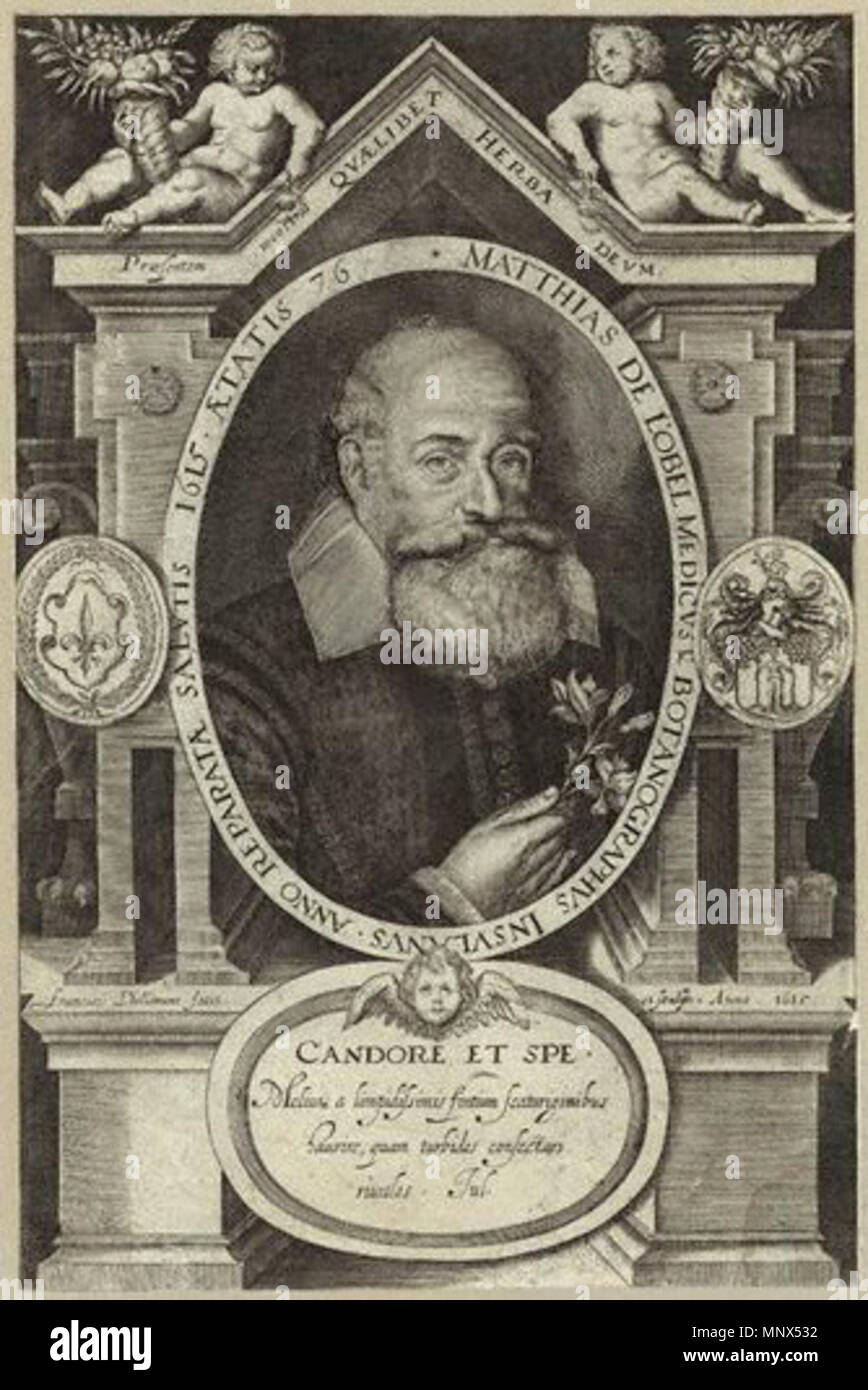 by Francis Delaram,print,1615    . English: Matthias de Lobel (1538-1616) . 1615. Francis Delaram 875 Matthias de Lobel Stock Photo