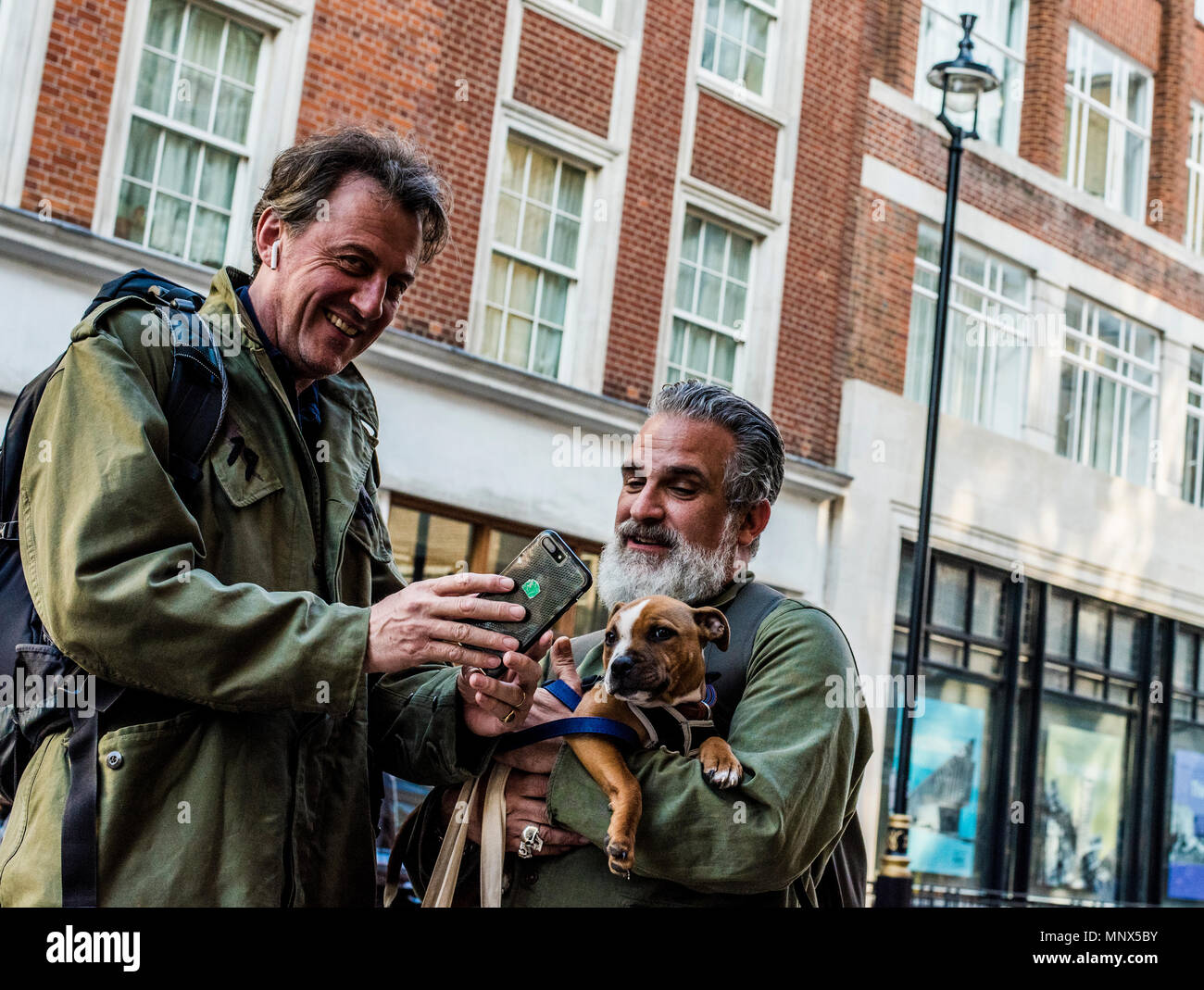 Man looking straight at camera while showing smartphone to friend, friend holding pet dog, smiling with interest, London, England, UK Stock Photo