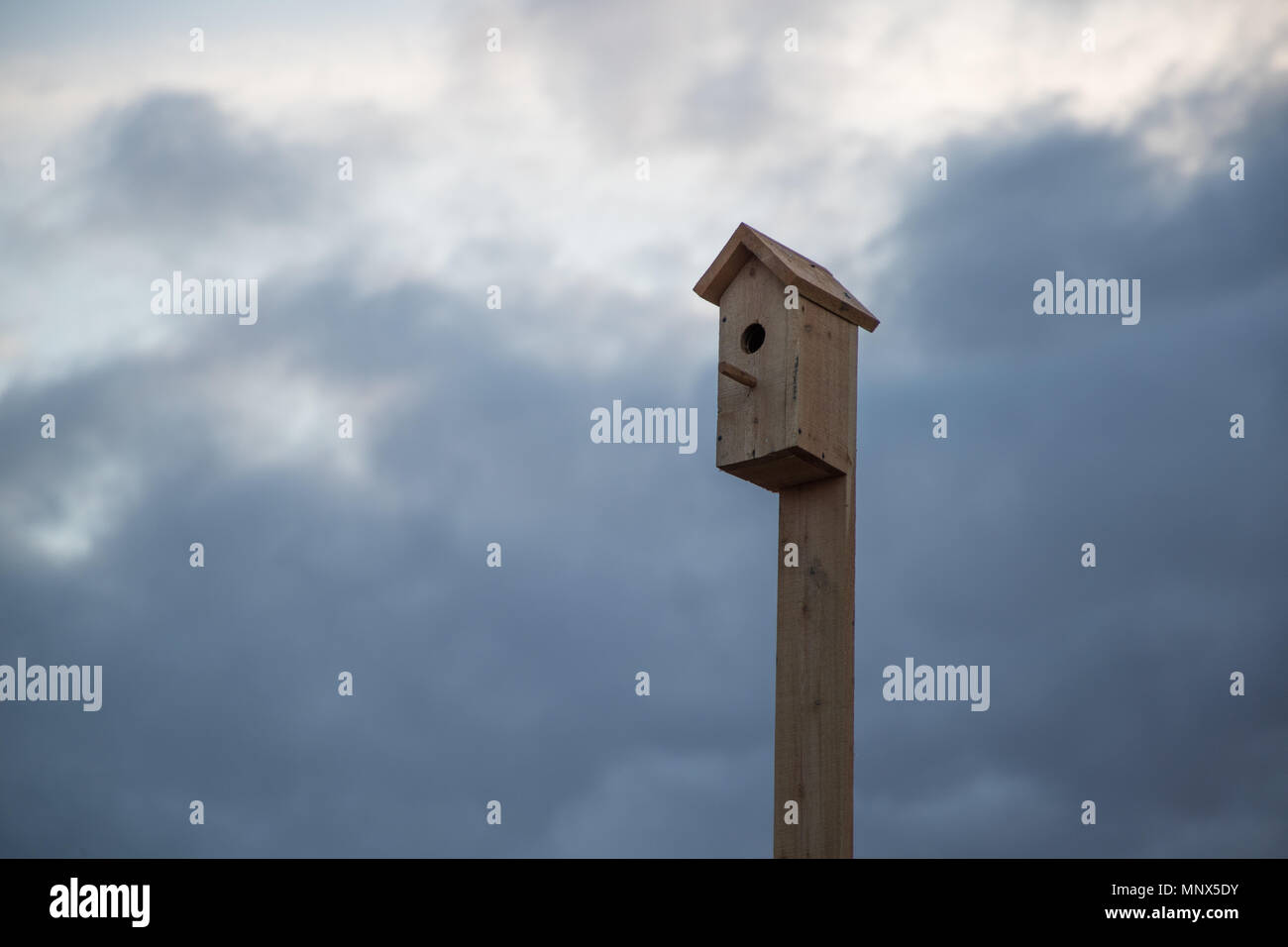 birdhouse nailed to a wooden pole against the sky Stock Photo