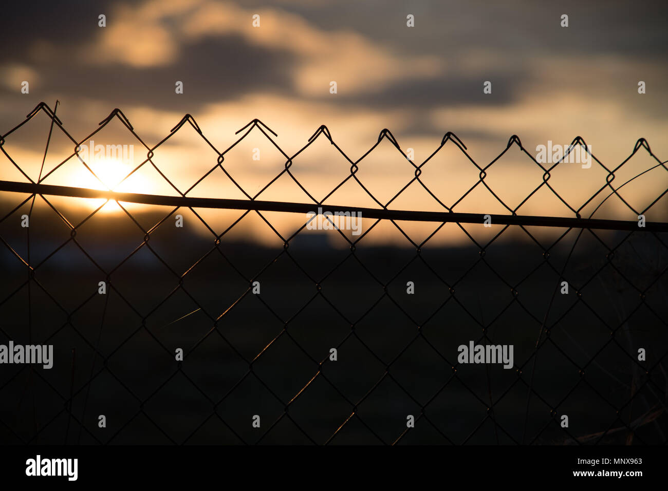 photo of a mesh fence on a sunset background Stock Photo