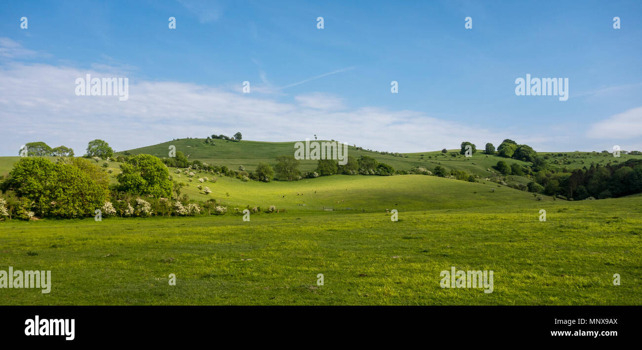 Pegsdon Hills and Hoo Bit, nature reserve in Pegsdon, Bedfordshire in the Chilterns Area of Outstanding Natural Beauty Stock Photo