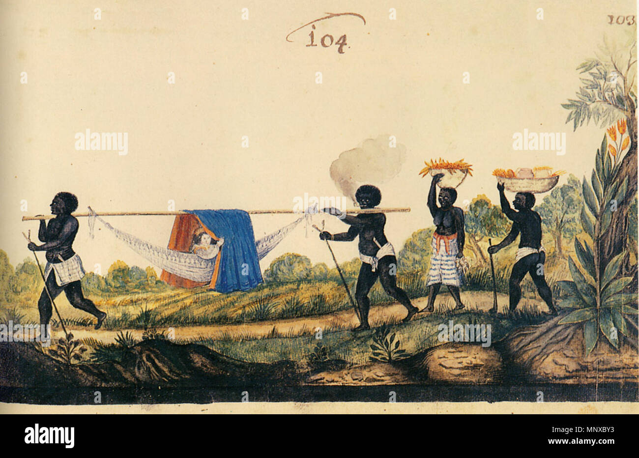 . English: White woman being carried in a covered hammock by slaves. 1630. Zacharias Wagener 1128 Slaves Carrying a Covered Hammock, Brazil Stock Photo