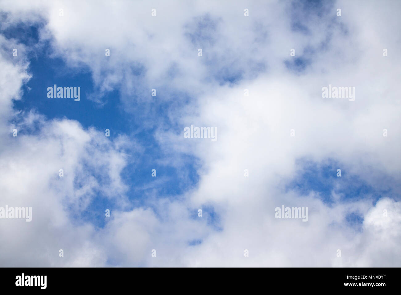 Blue sky background with fluffy cumulus clouds Stock Photo - Alamy