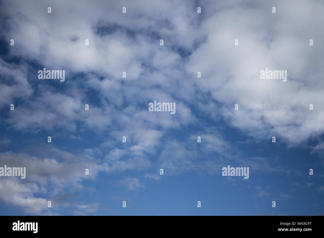 Blue sky background with fluffy cumulus clouds Stock Photo - Alamy