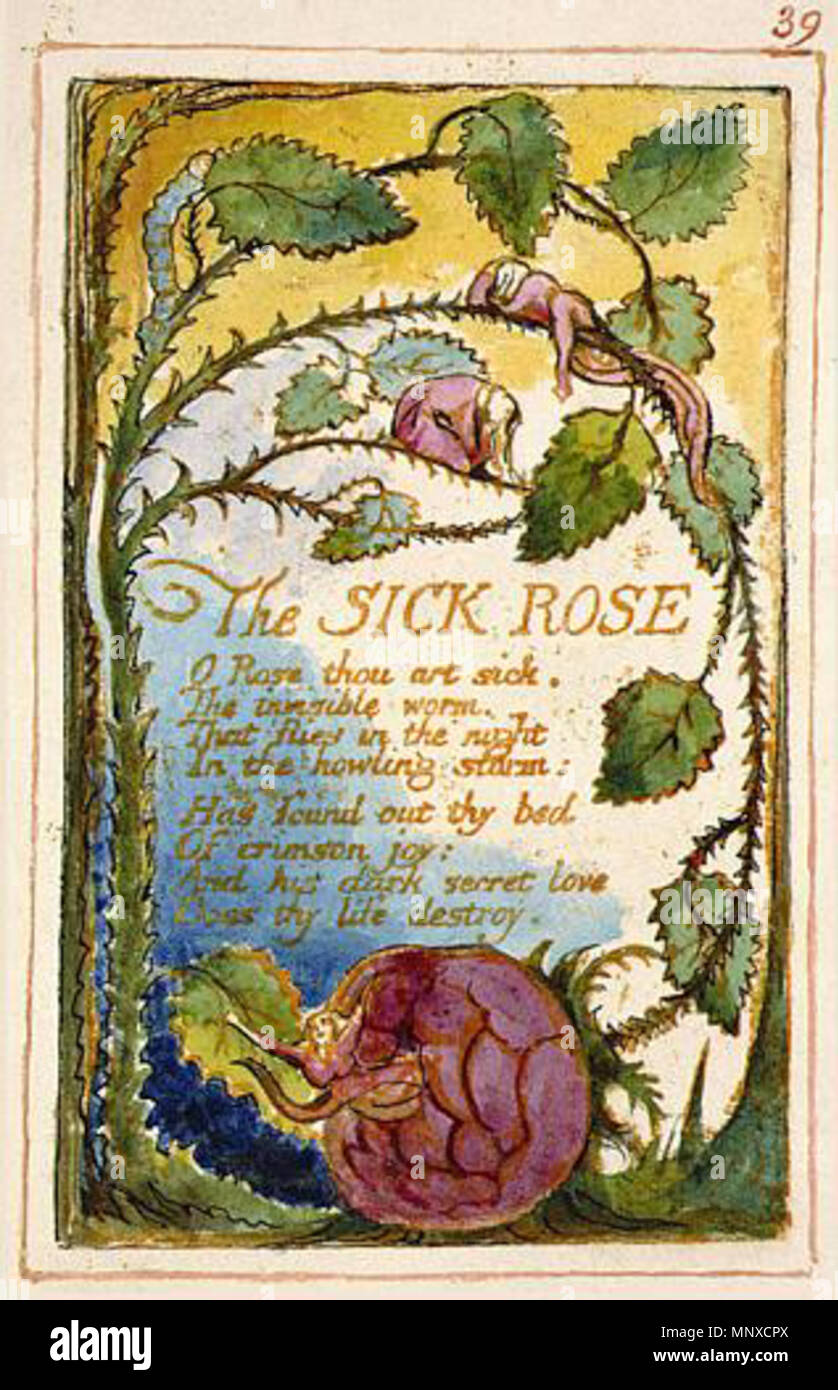 . English: Songs of Innocence and of Experience, copy AA, 1826 (The Fitzwilliam Museum) object 39 The Sick Rose . 6 February 2014, 16:32:59.   William Blake  (1757–1827)       Alternative names W. Blake; Uil'iam Bleik  Description British painter, poet, writer, theologian, collector and engraver  Date of birth/death 28 November 1757 12 August 1827  Location of birth/death Broadwick Street Charing Cross  Work location London  Authority control  : Q41513 VIAF: 54144439 ISNI: 0000 0001 2096 135X ULAN: 500012489 LCCN: n78095331 NLA: 35019221 WorldCat    Category:William Blake 1132 Songs of Innocen Stock Photo