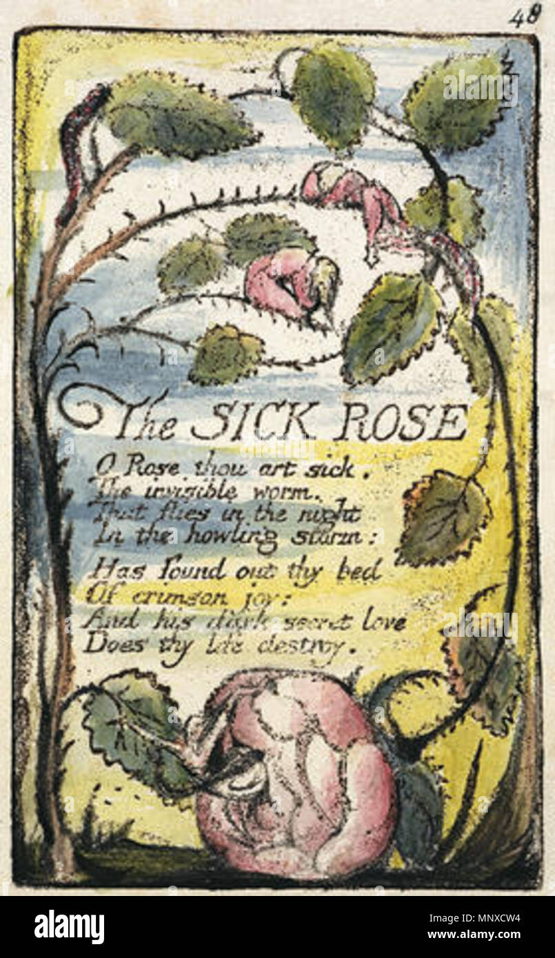 William blake the sick rose hires stock photography and images Alamy