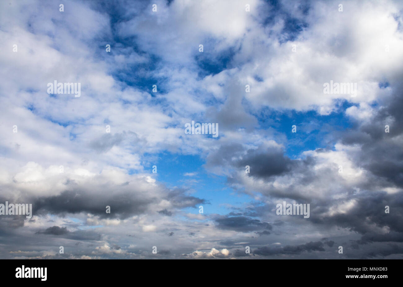 Blue sky background with fluffy cumulus clouds before thunder Stock Photo