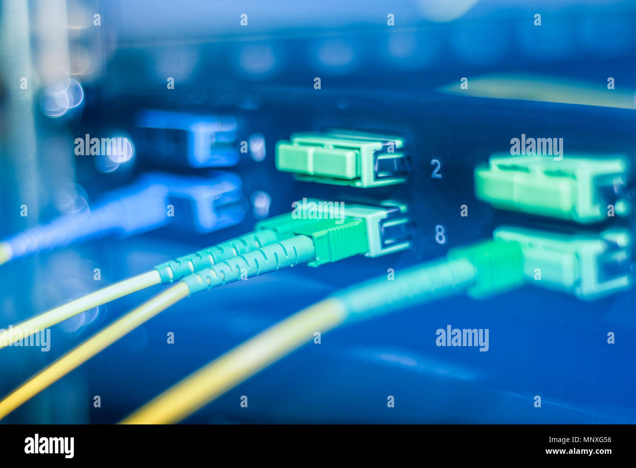 Fiber Optical and network cable connected in modern switch