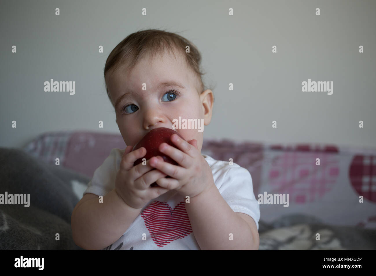 small child holds his hands apple and gnaws Stock Photo