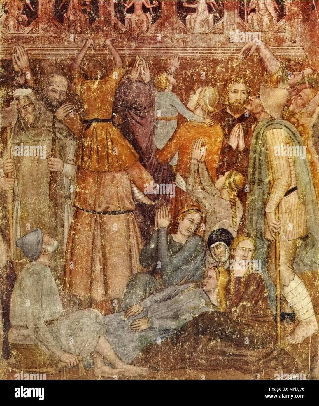 Gaddo gaddi hires stock photography and images Alamy