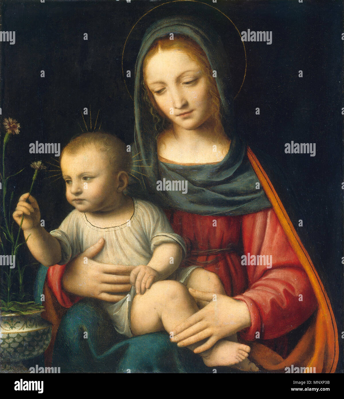 Painting; oil on panel; overall: 43.8 x 40.3 cm (17 1/4 x 15 7/8 in.);   The Madonna of the Carnation   circa 1515.   1177 The Madonna of the Carnation by Bernardino Luini Stock Photo