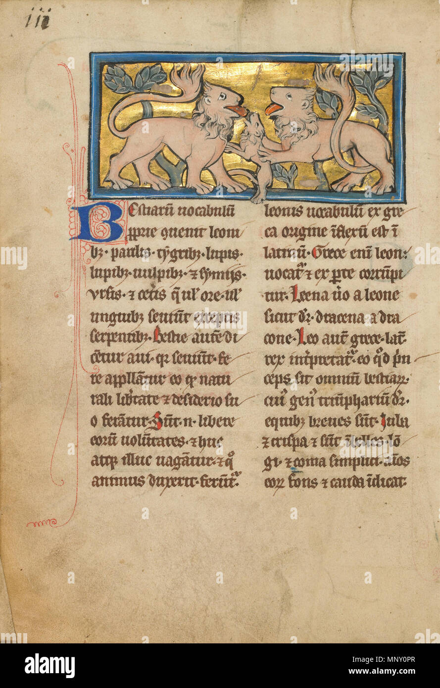 Two Lions Reviving their Dead Cubs   fourth quarter of 13th century (after 1277).   1209 Two Lions Reviving their Dead Cubs - Google Art Project Stock Photo