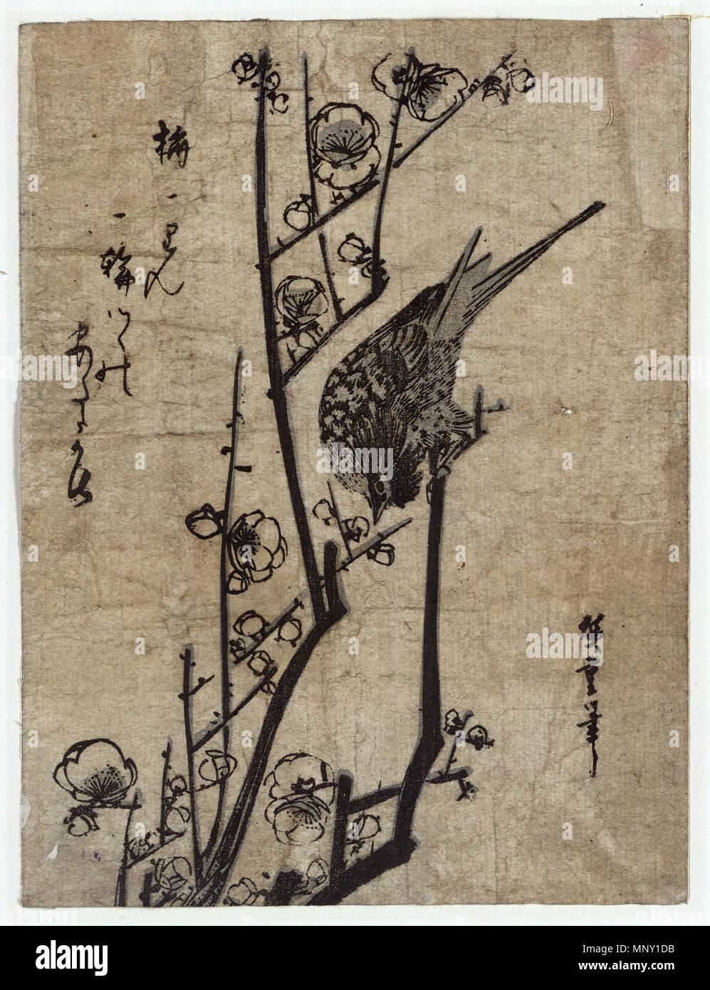 Ume ni Uguisu(Plum Blossom and Bush Warbler)   circa 1833 - 1838.   1212 Ume ni Uguisu Stock Photo