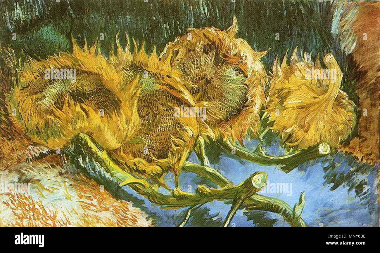 Four Withered Sunflowers . English: Oil painting reproduction of Vincent van  Gogh . 1887. 1237 Vincent van Gogh - Four Cut Sunflowers Stock Photo - Alamy