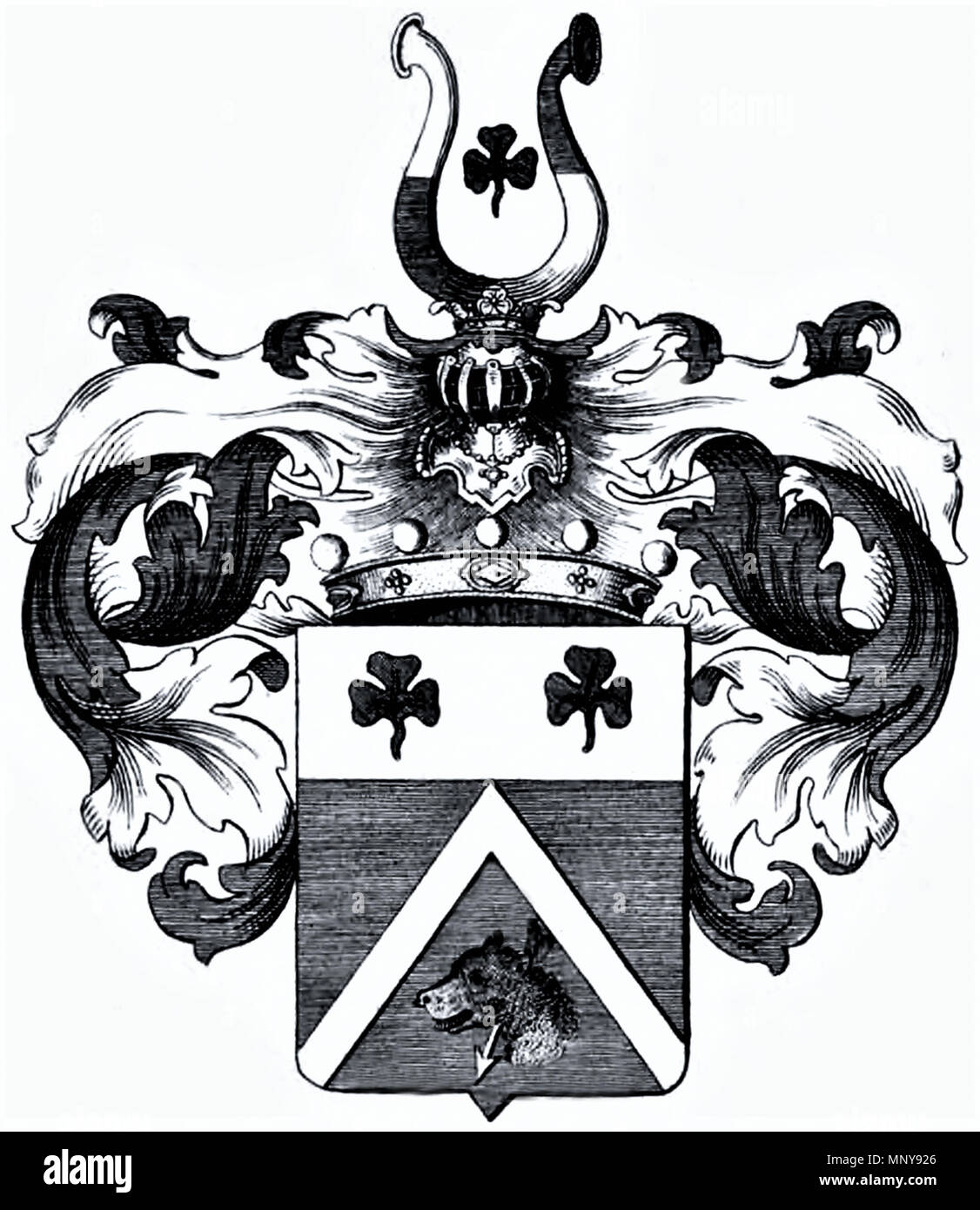 . Deutsch: Wappen der Freiherren von Jacquin 1806 . 1806/1844 (book). Unknown 1250 Wappen der Freiherren von Jacquin Stock Photo