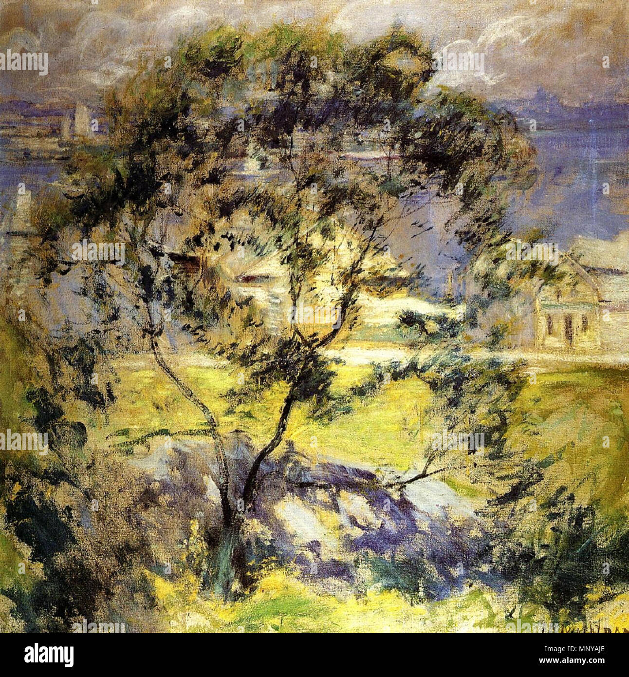 .  English: 'Wild Cherry Tree,' oil on canvas, by the American painter John Twachtman. Courtesy of the Albright-Knox Art Gallery. . circa 1901.    John Henry Twachtman  (1853–1902)     Alternative names Twachtman, John H.  Description American painter  Date of birth/death 4 August 1853 8 August 1902  Location of birth/death Cincinnati Gloucester  Work location United States, France  Authority control  : Q1342683 VIAF: 23008140 ISNI: 0000 0000 6680 976X ULAN: 500006514 LCCN: n79061318 WGA: TWACHTMAN, John Henry WorldCat 1258 Wild Cherry Tree John Twachtman c.1901 Stock Photo