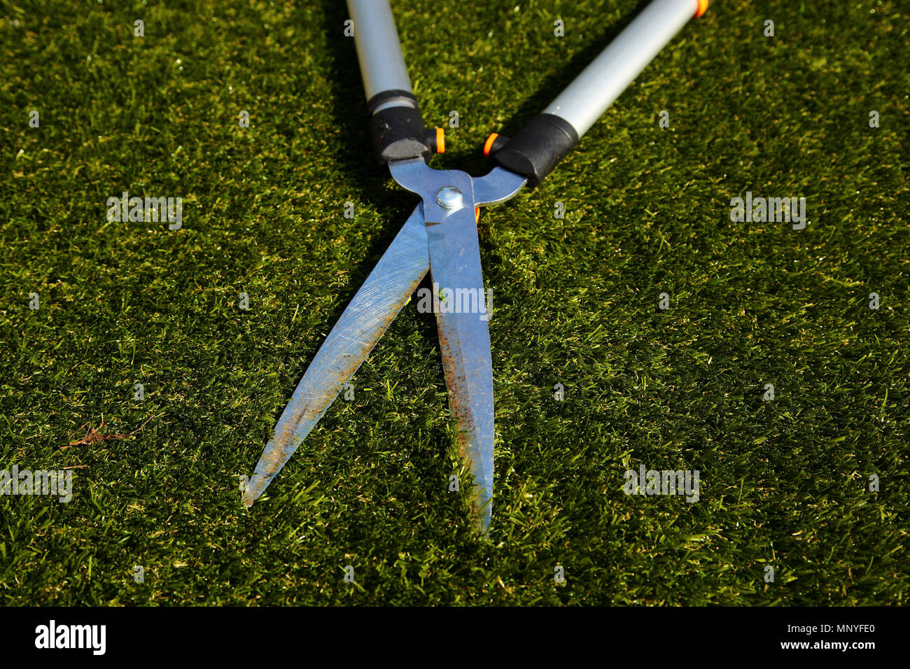 Garden shears tool lying on grass in a back garden yard Stock Photo