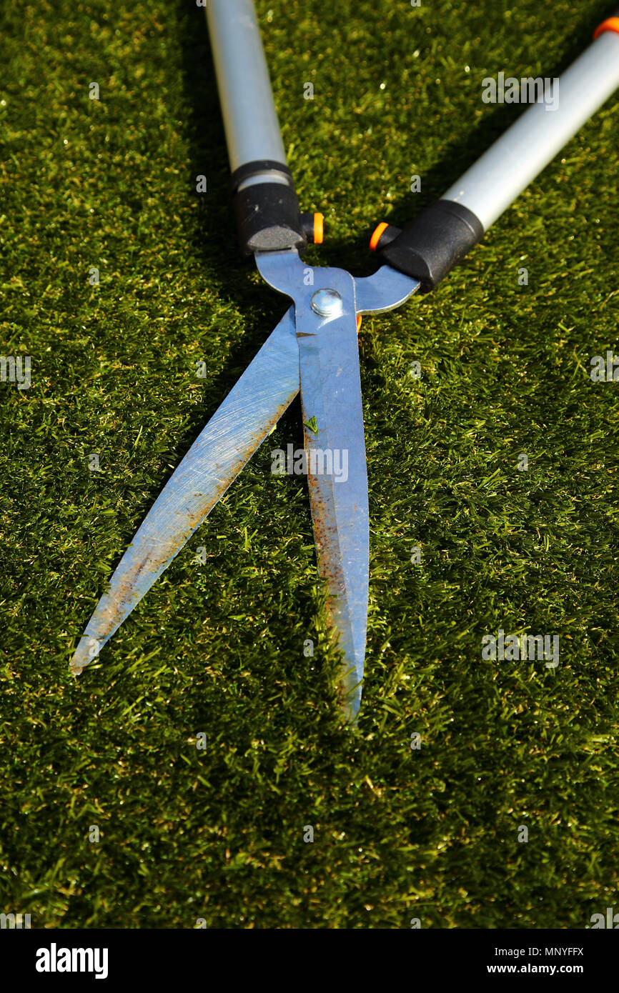 Garden shears tool lying on grass in a back garden yard Stock Photo