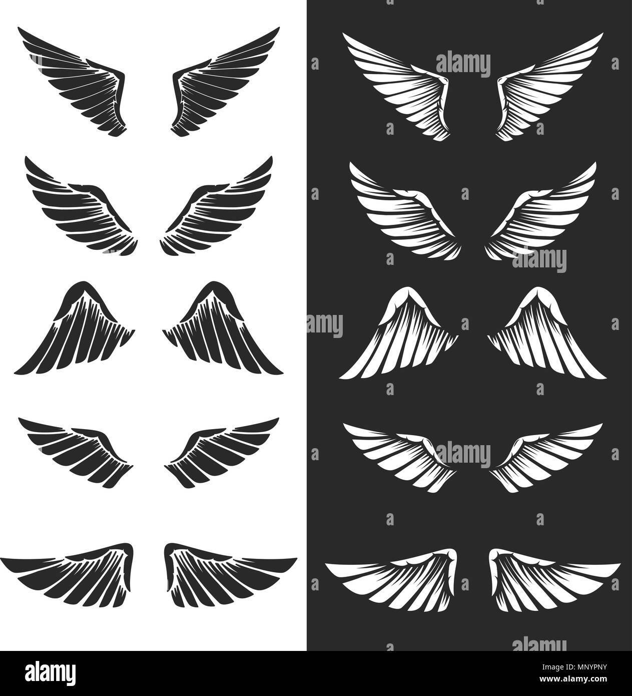 Set of wings on white background. Design elements for logo, label ...