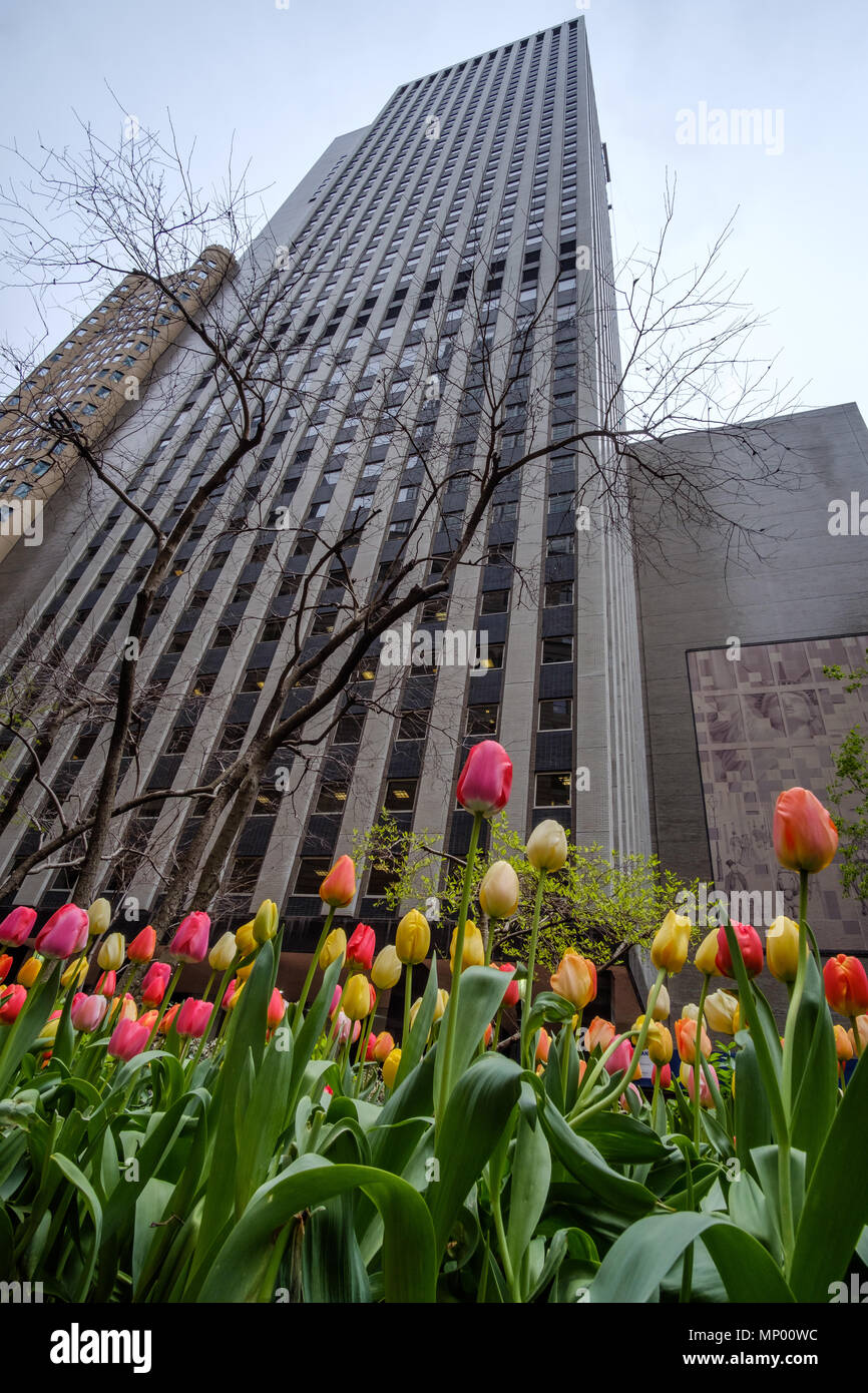 Flowers against skyline in Financial District of Manhattan. New York