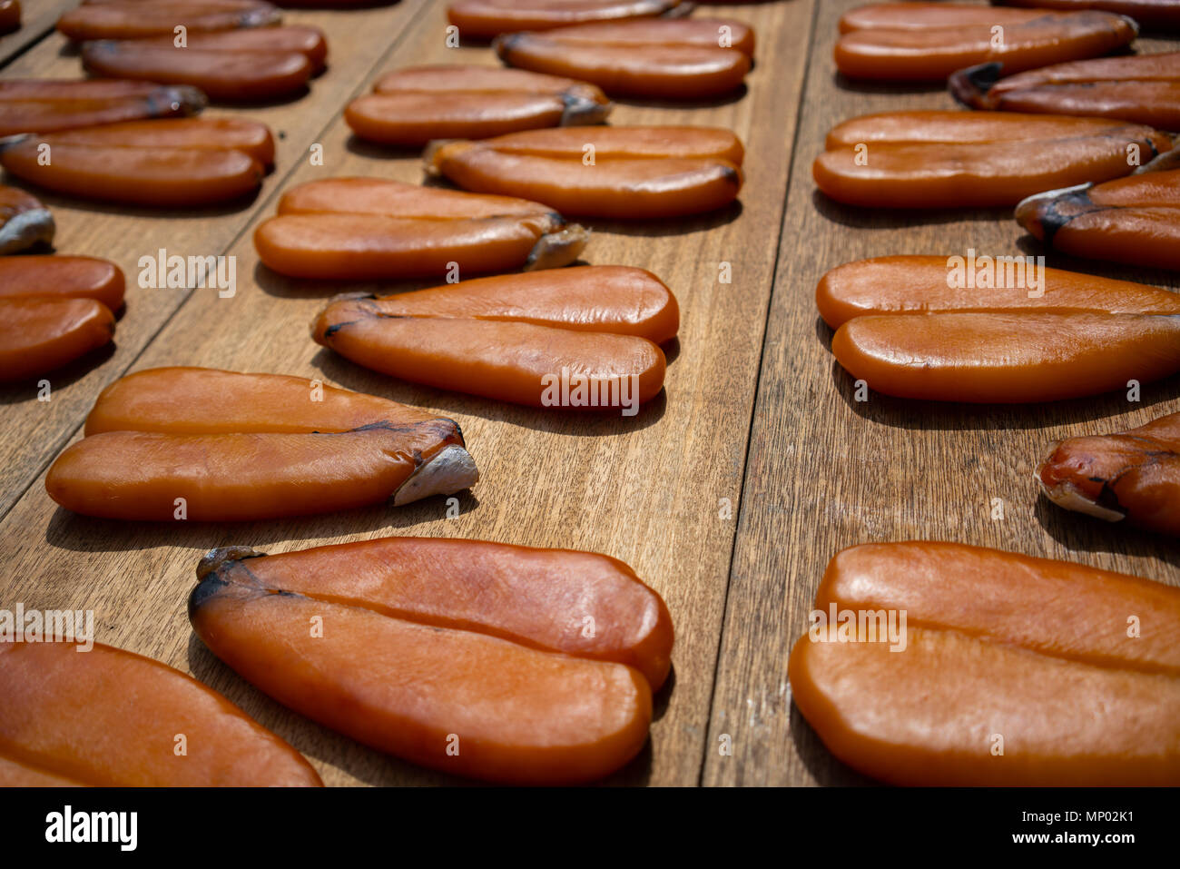 Karasumi mullet roe drying outside on a market stand in Taiwan Stock Photo