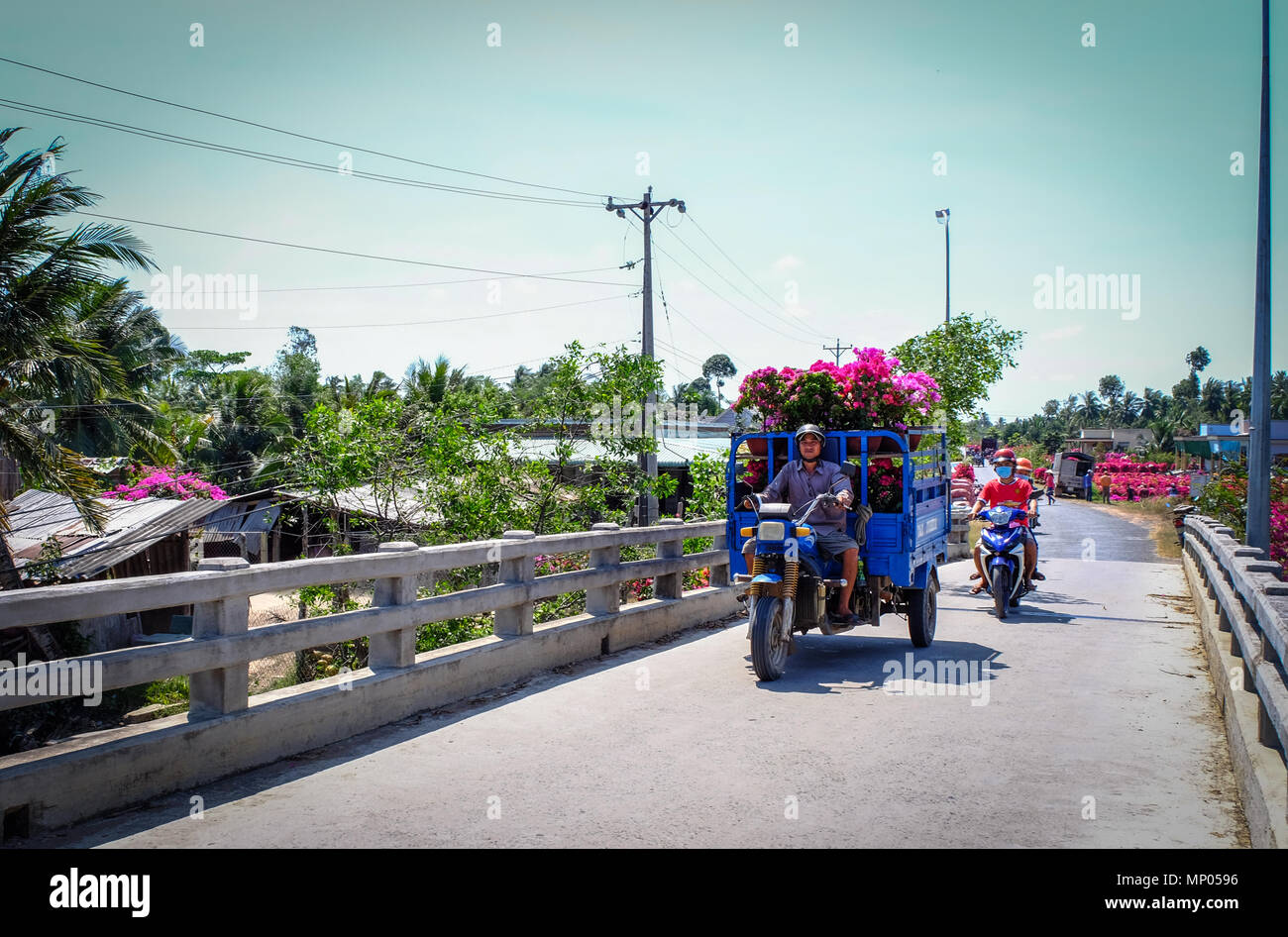 Can Tho, Vietnam - Jan 31, 2016. A small truck carrying flowers at spring time in Can Tho, Vietnam. Stock Photo