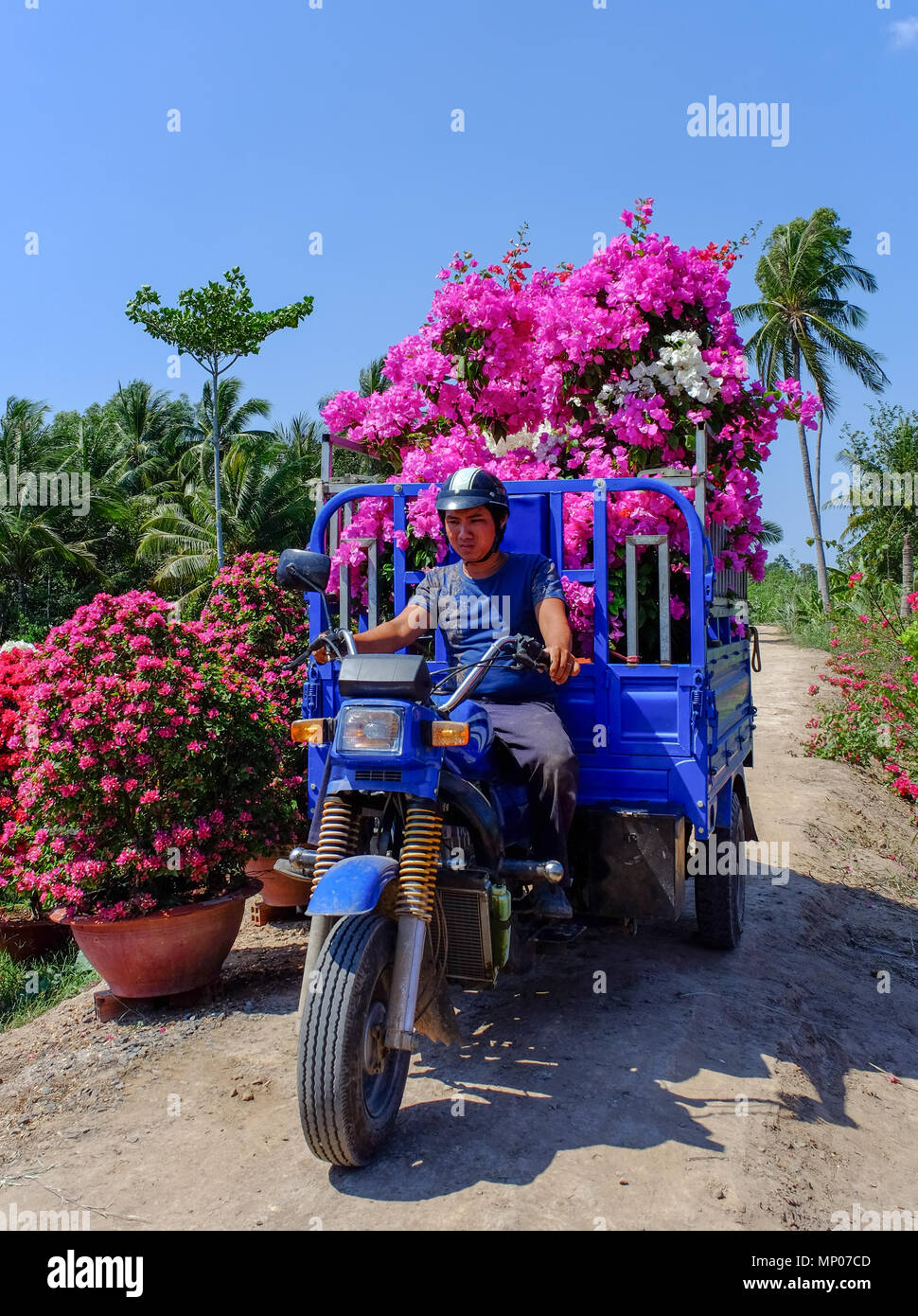 Can Tho, Vietnam - Jan 31, 2016. A small truck carrying flowers to market at spring time in Can Tho, Vietnam. Stock Photo