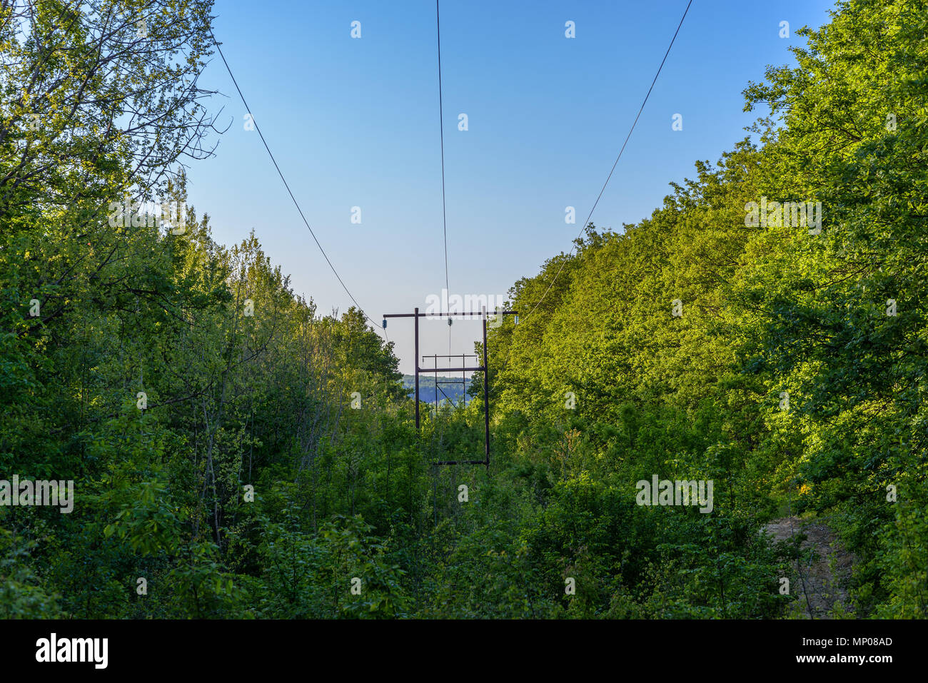 The power line in the forest Stock Photo - Alamy