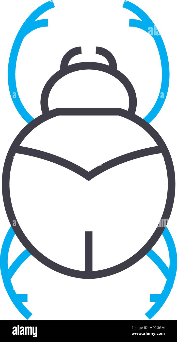 Beetle linear icon concept. Beetle line vector sign, symbol