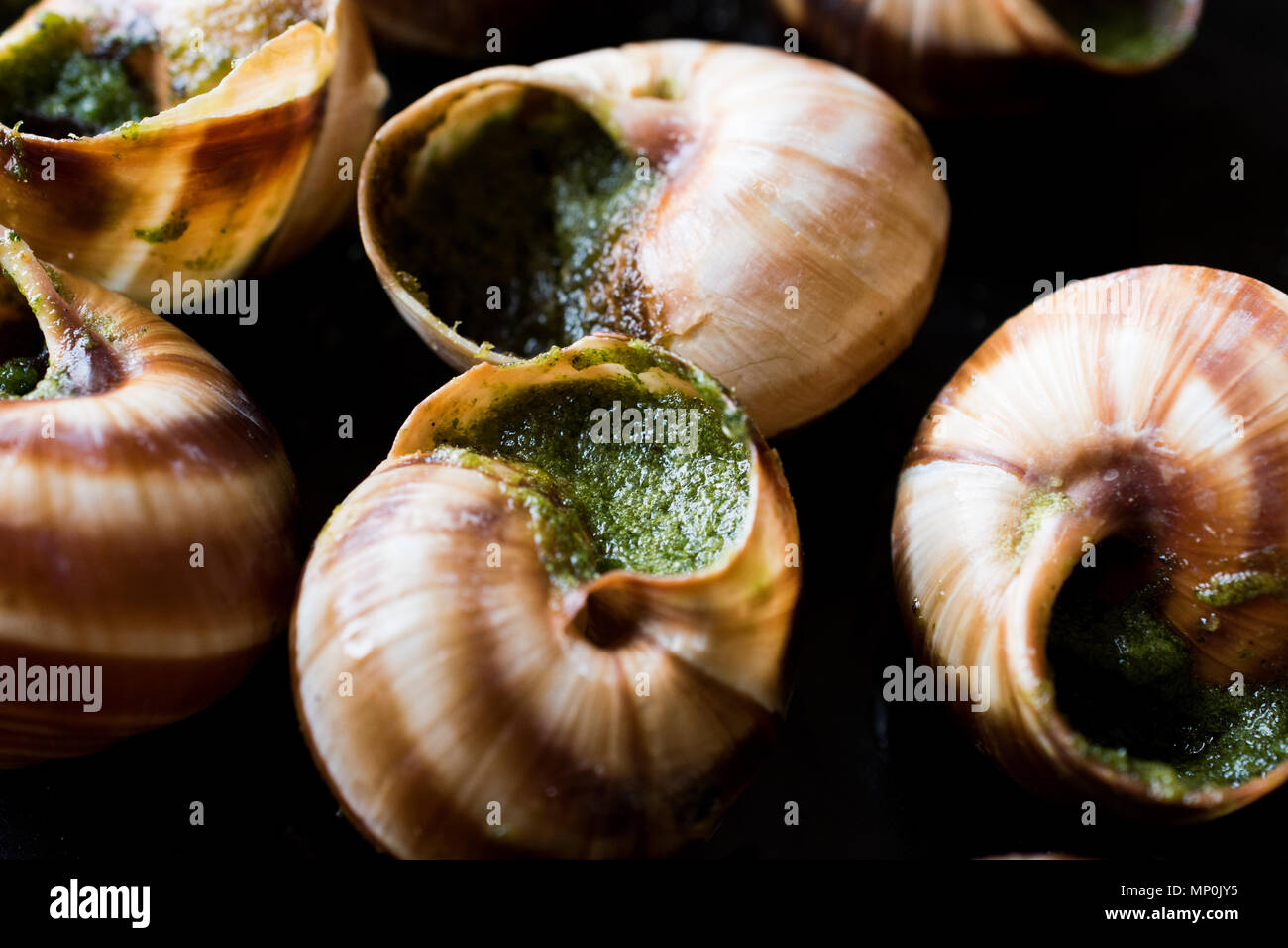 Escargots de Bourgogne Snail Food with herbs butter, France gourmet