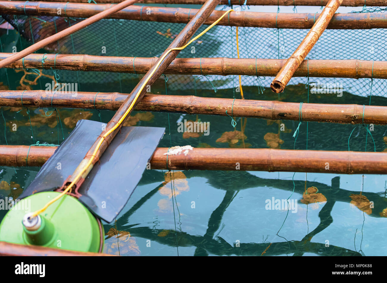 Oyster farm in floating fishing village in Ha Long Bay, Vietnam, Asia