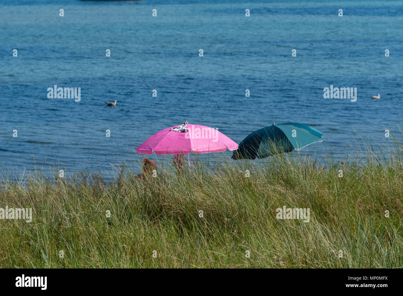 Relaxing at a hot summer day at the beach 'Falkensteiner Strand', Kieler Fjord, Kiel, Germany, Stock Photo