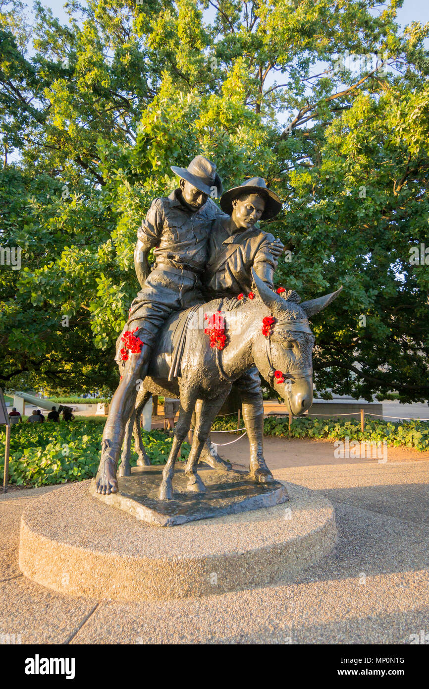 A statue of Simpson and his donkey, field ambulance in Canberra, ACT
