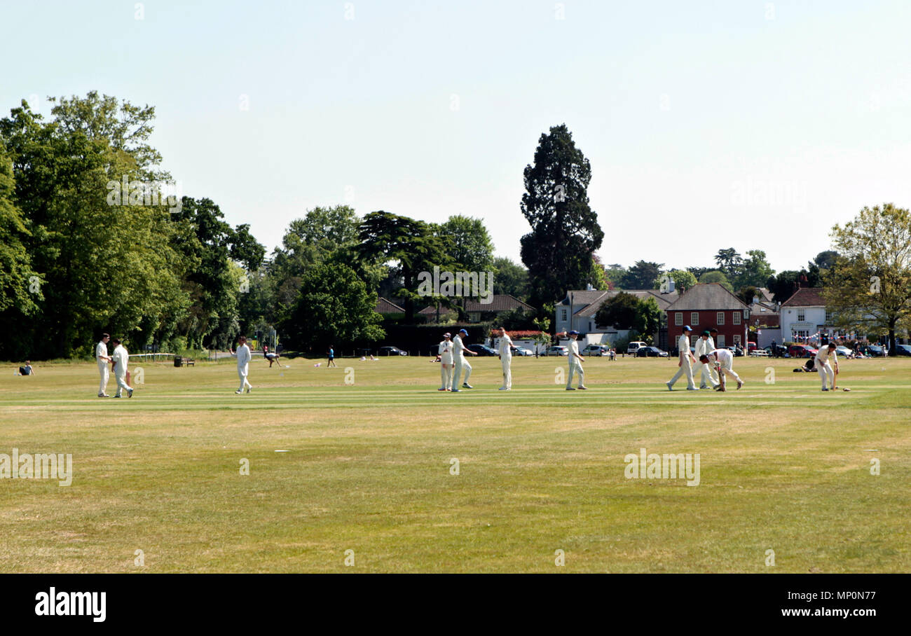 village cricket match scene being played on Englefield green, Egham, Surrey/ Berkshire border, England, UK Stock Photo