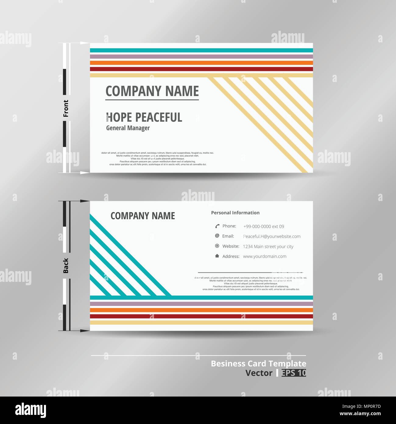 Modern colorful stripe lines name card template, illustration vector