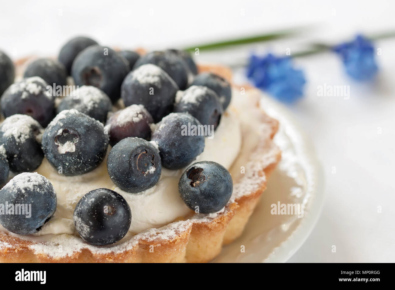 Fresh blueberry tart with cream in portion plate close-up. Delicious summer berry dessert. Stock Photo
