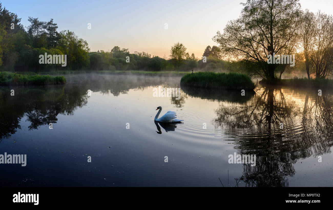 Summer sunrise at the lake. Nature reserve near Lockerbie. Scotland. Stock Photo