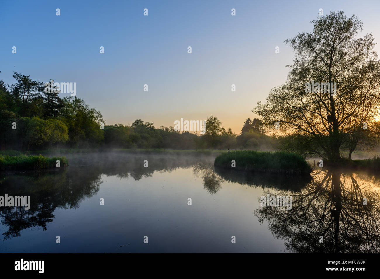 Summer sunrise at the lake. Nature reserve near Lockerbie. Scotland. Stock Photo