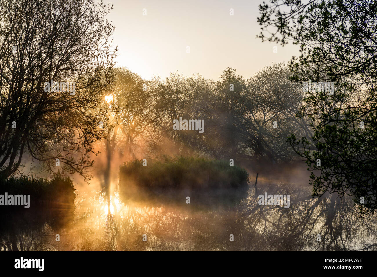 Summer sunrise at the lake. Nature reserve near Lockerbie. Scotland. Stock Photo