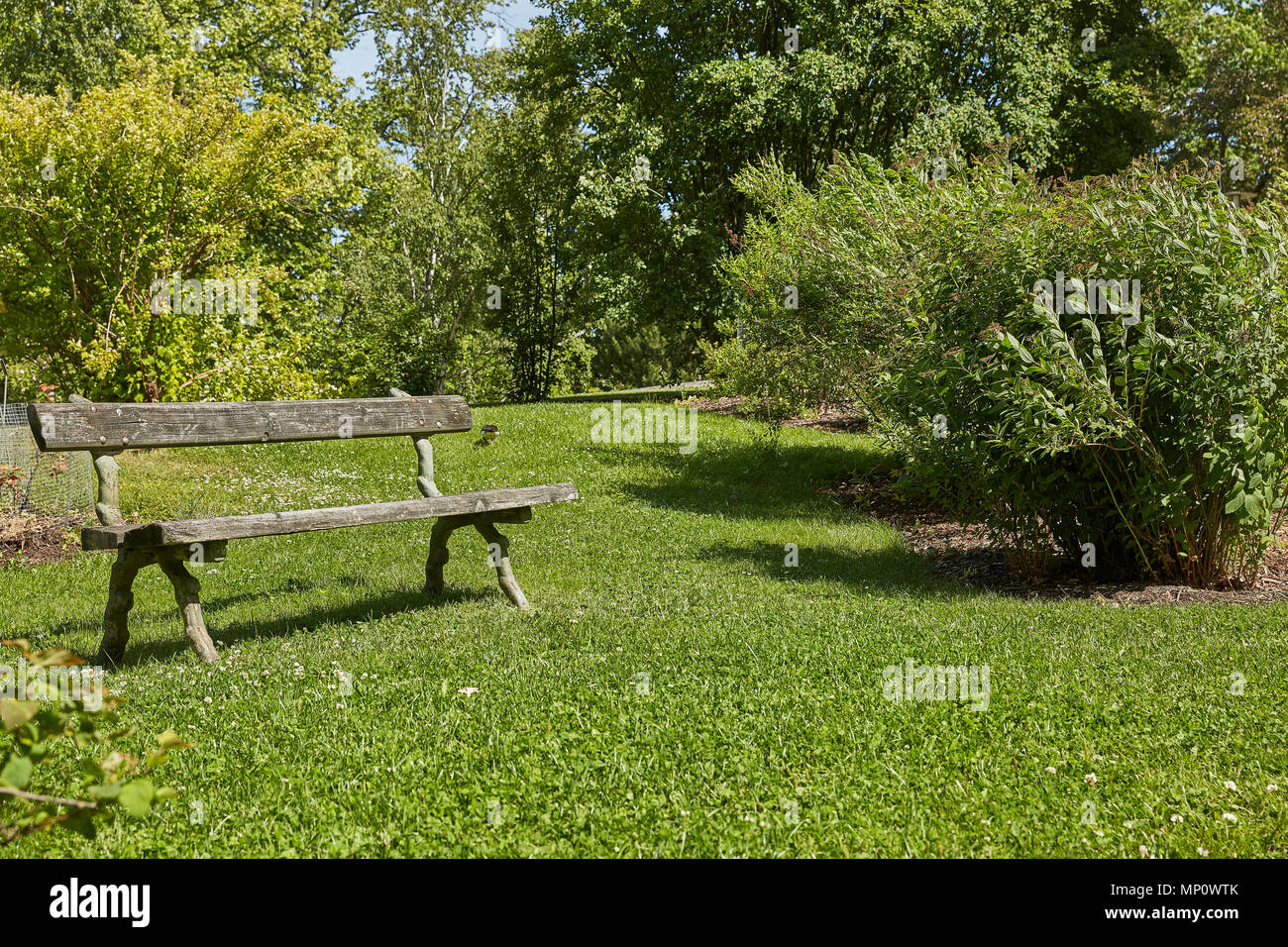Resting bench in a Botanic Garden in Helsinki, Finland. Stock Photo