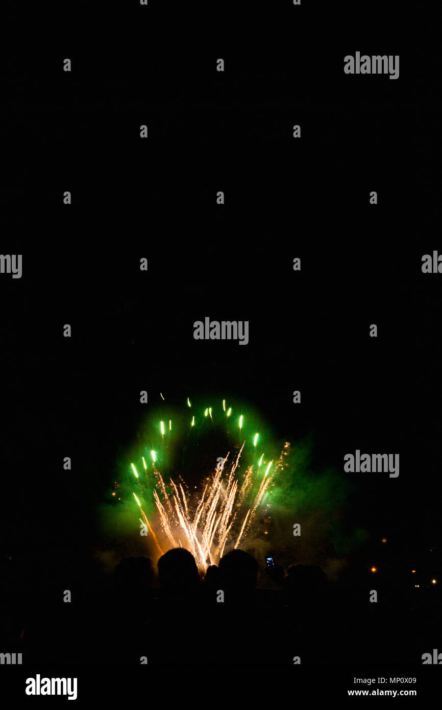 Fireworks exploding green in night sky Stock Photo
