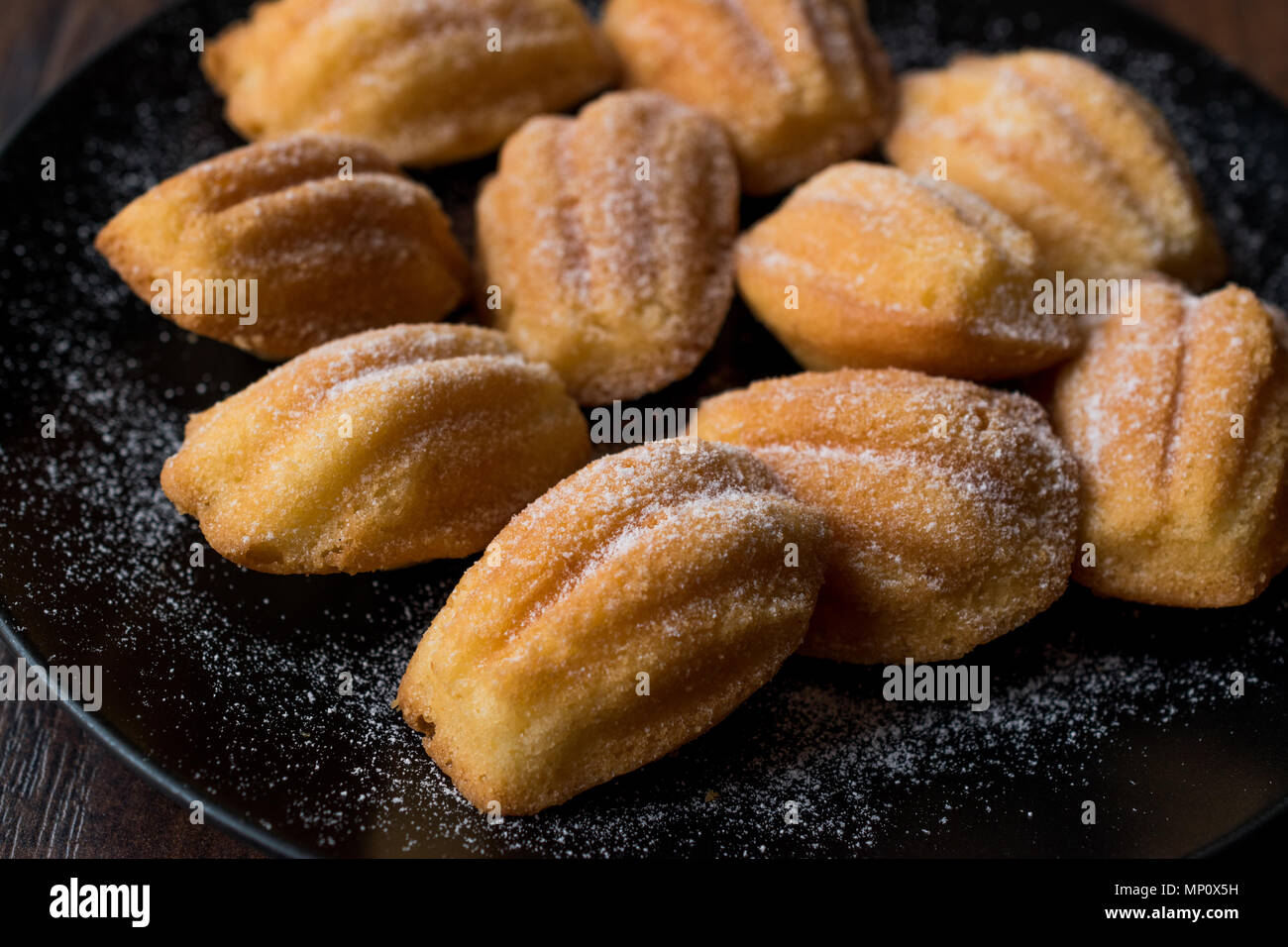 Homemade Madeleine Cakes with Powdered Sugar. Traditional Cookies Stock