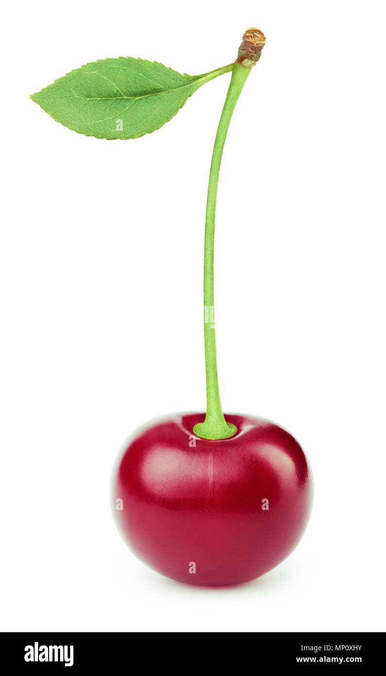 One cherry single Cut Out Stock Images & Pictures - Alamy