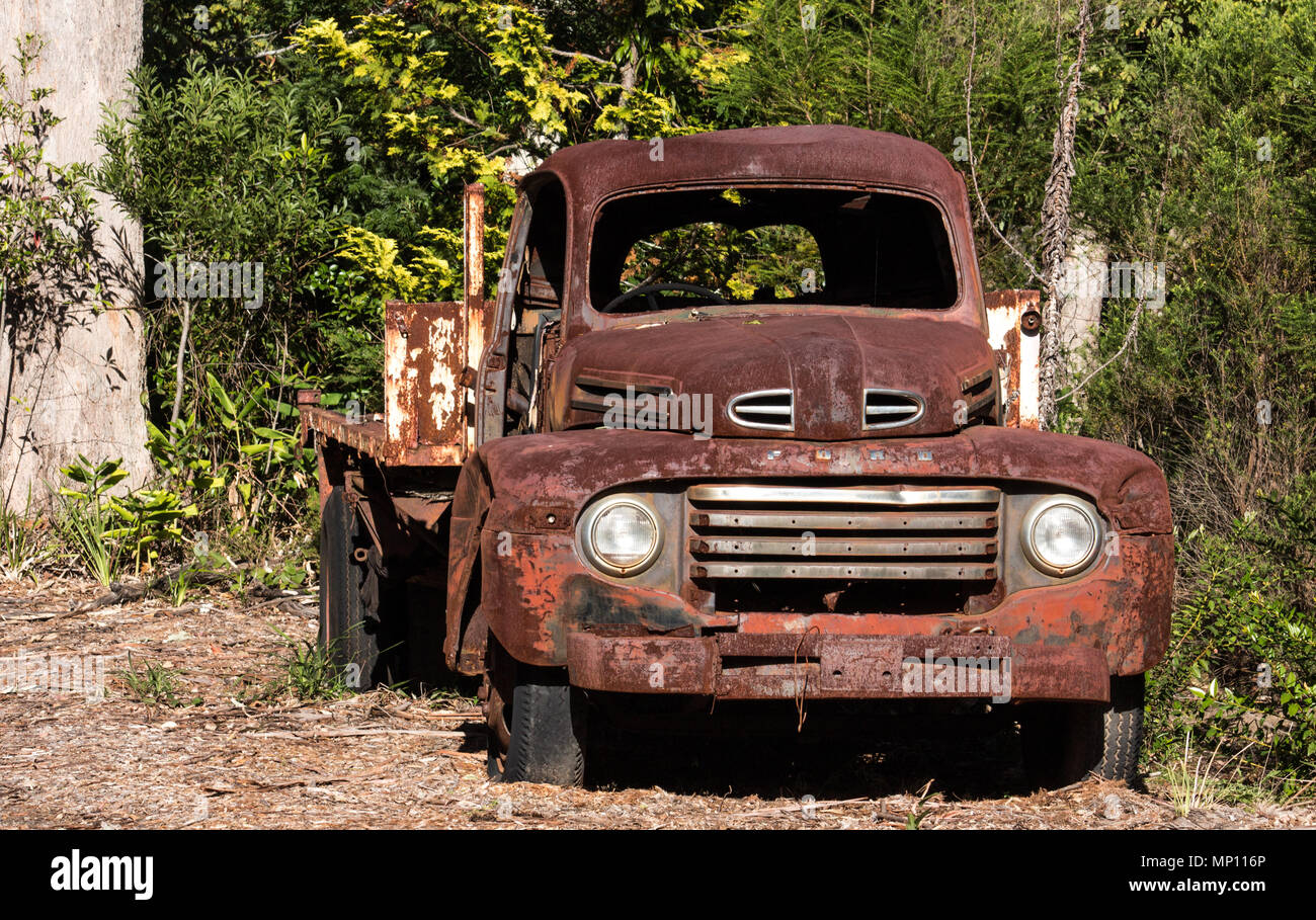 Vintage abandoned rusty farm truck ute against green trees Stock Photo